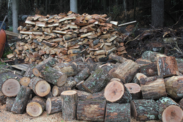 Cutting splitting wood