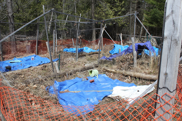 Tarps on Garden Bed